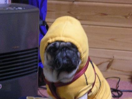 DSCN5281.JPG