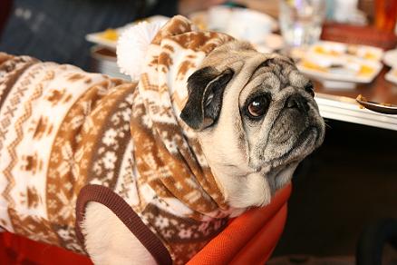 IMG_8758qqqq.jpg